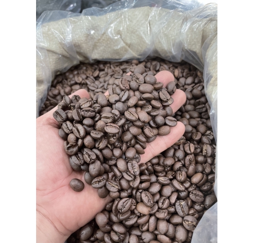 Robusta Honey S18