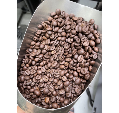 Robusta Wash S18 