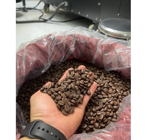 Arabica Cầu Đất S18